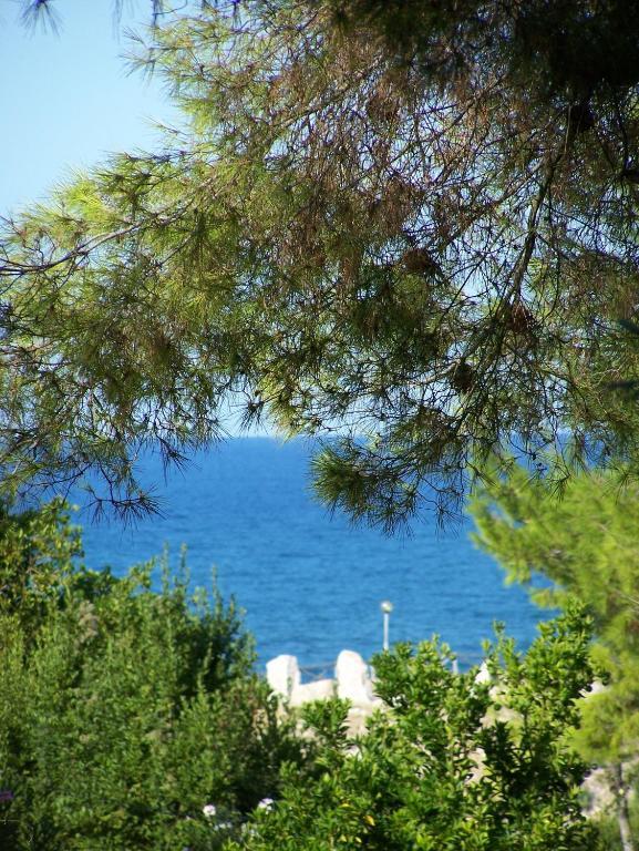 Tenuta Molino Di Mare- Ecoresort Con Villini Rodi Garganico Exterior photo